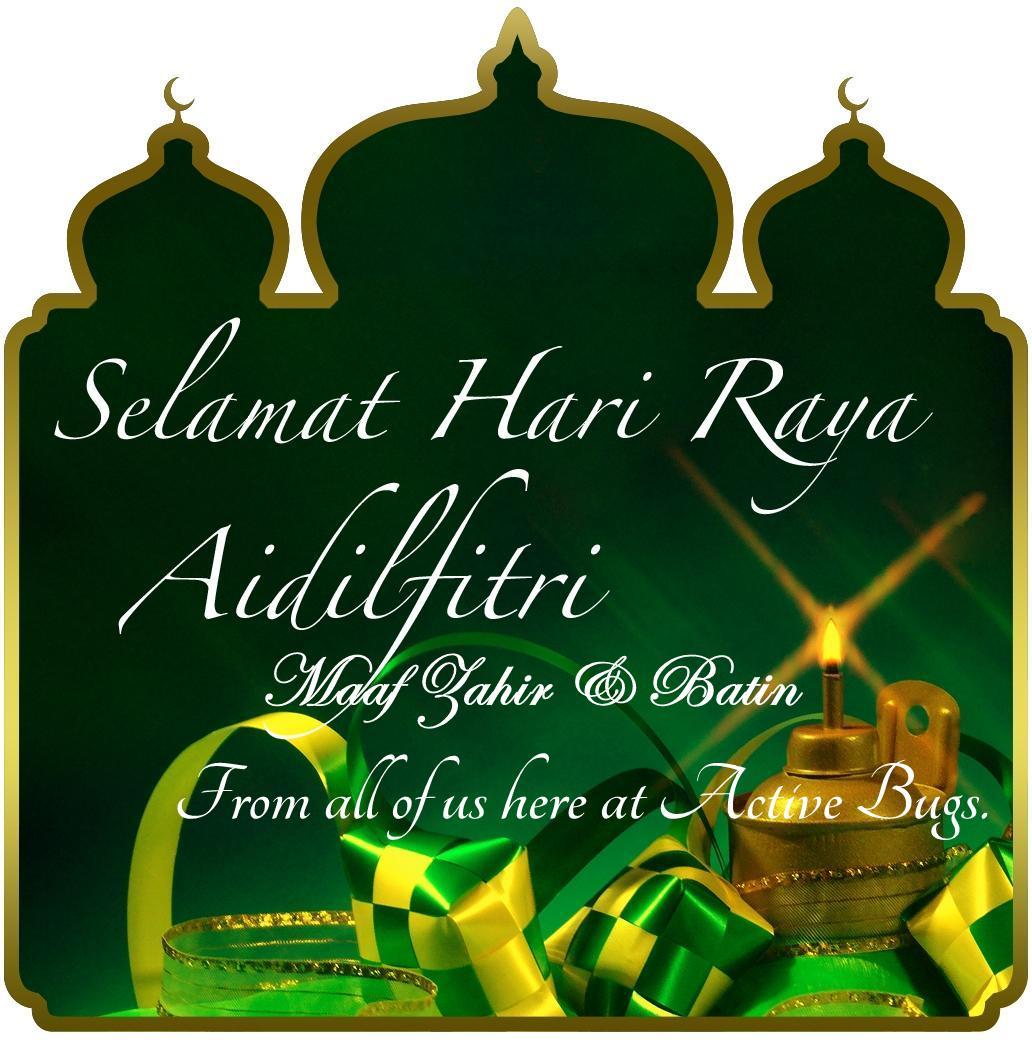 selamat-hari-raya-hd-wallpapers-desktop-backgrounds-8